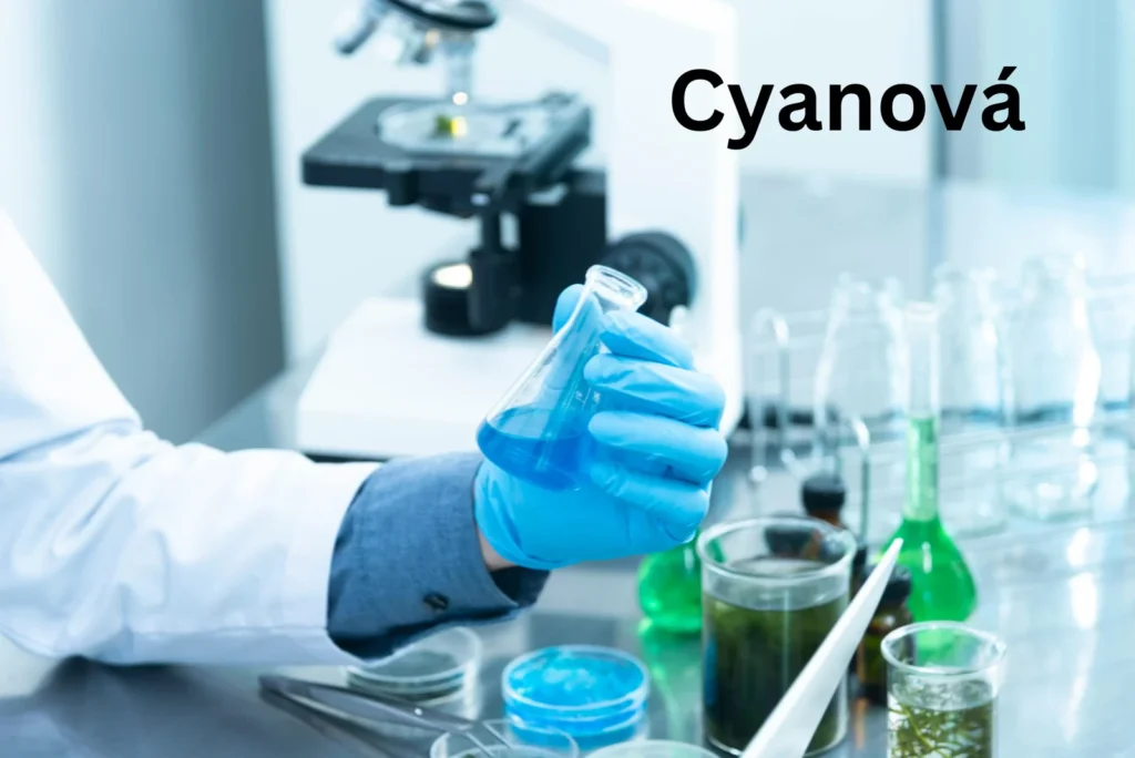 Applications Of Cyanová In Various Industries: