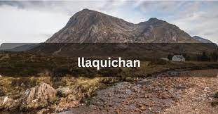 What types of wildlife can you find in Llaquichan