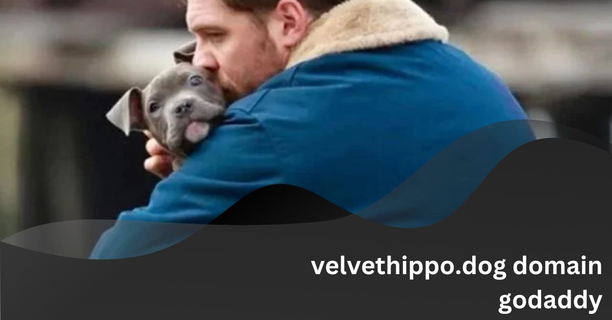 velvethippo.dog domain godaddy