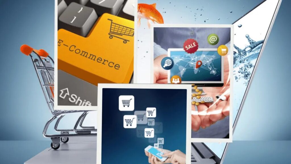 Journey from Networking to E-Commerce – Ultimate Guide!